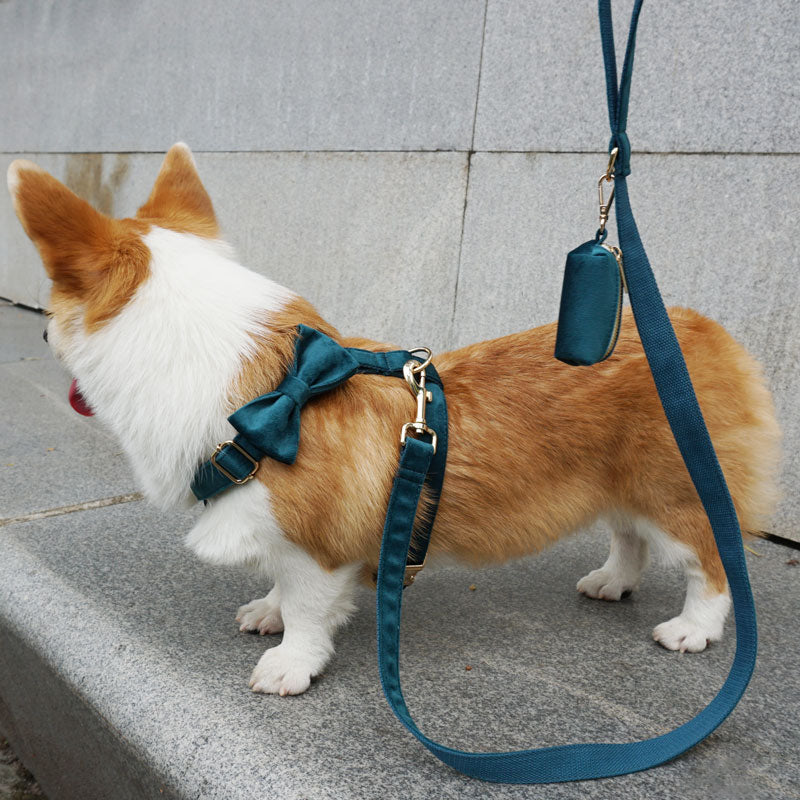http://www.petduro.com/cdn/shop/collections/dog-harness-customized_1200x1200.jpg?v=1628952040