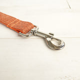 Modern Dog Leash 4ft Cotton Fabric for Large Small Dogs Puppies - Orange