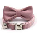 Personalized Cat Collar Set Engraved Silver Buckle Champagne Pink Velvet