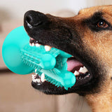 PETDURO Dog Chew Toys Indestructible Tough Dental Teething Toys with Rubble Suction Cup