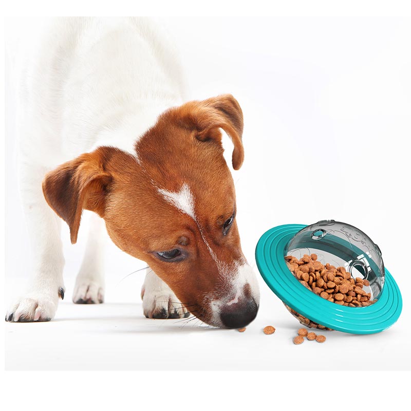 Pet Slow Feeder Egg Design Dog Feeding Bowl Interactive Dog Licking Toy  Rubber Chew Toys For Small And Medium Dogs - Temu