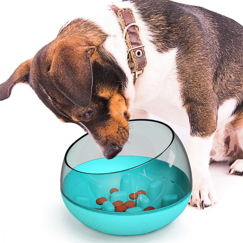 Ceramic Slow Feeder Dog Bowl - 1.5 Cup Maze Design For Small & Medium Breeds, Puzzle Feeder To Control Fast Eating