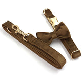Personalized Dog Collar Set Engraved Gold Metal Buckle Brown Velvet