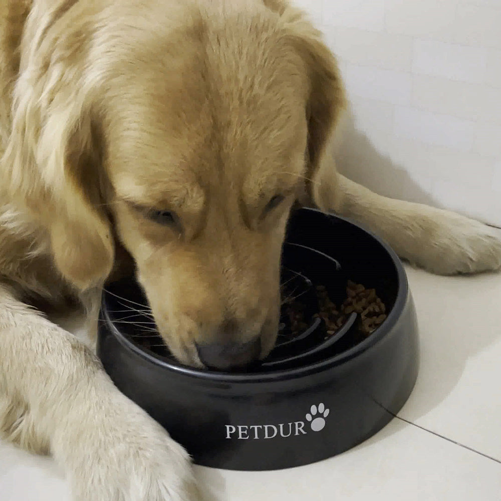 This Food Maze Dog Bowl Keeps Your Dog From Eating Too Fast