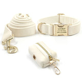Personalized Dog Collar Set Engraved Gold Buckle Cute Cream Velvet