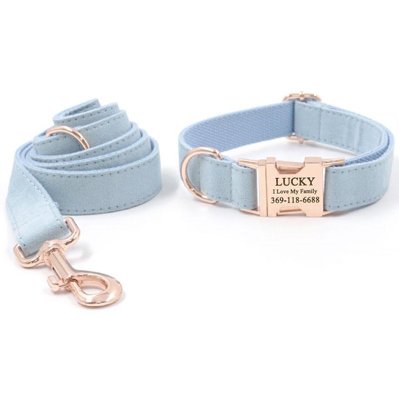 Personalised Dog Collar - Louie in Blue or Pink - Modern Pets