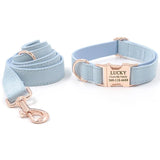 Custom Dog Collar Engraved Quick Release Rose Gold Buckle Cute Light Blue Velvet