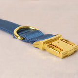 Personalized Dog Collar Set Engraved Bright Gold Buckle Ocean Blue Sating