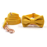 Personalized Dog Collar Set Engraved Rose Gold Metal Buckle Ginger Velvet