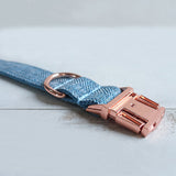 Personalized Dog Collar Set Engraved Rose Gold Buckle Blue Tweed