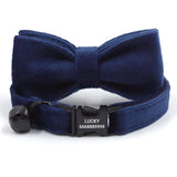Personalized Cat Collar Set Engraved Black Buckle Dark Blue Velvet
