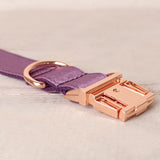 Personalized Dog Collar Set Engraved Rose Gold Buckle Purple Sating