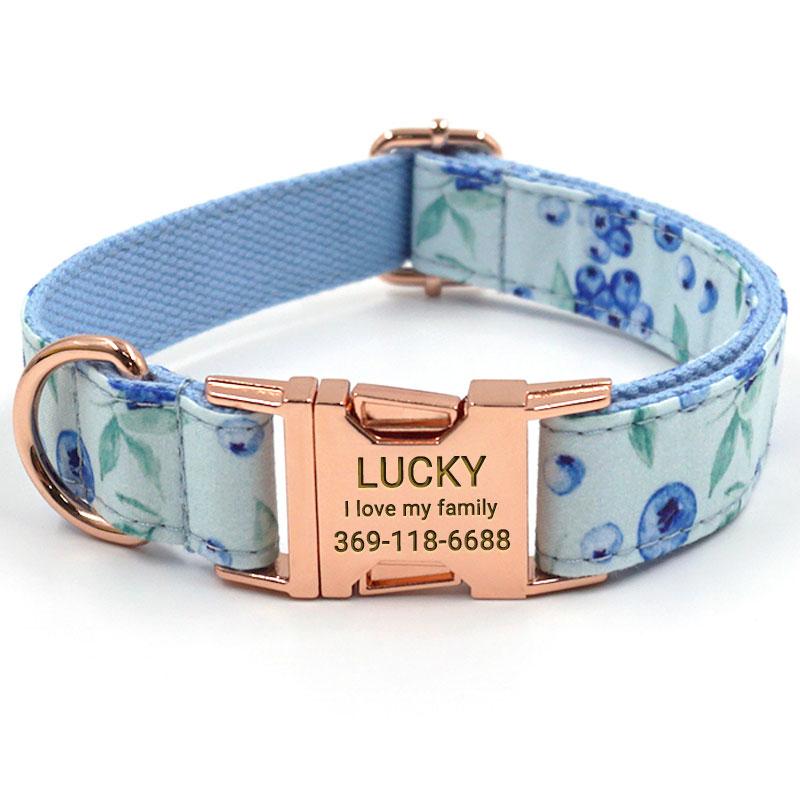 Blueberry Pet Classic Solid Dog Collar, Turquoise, Small