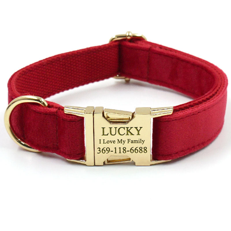 Cute & Super Safe Hardware Buckle Collar with Name for Dogs - Adorable  Personalized Engraving