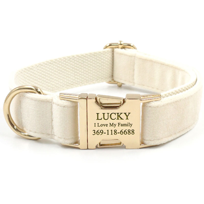 PETDURO Personalized Dog Collar Set Gold Buckle Cream Velvet