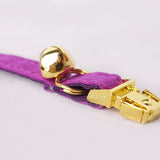 Personalized Cat Collar Engraved Bright Gold Buckle Purple Velvet