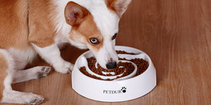 slow feeder dog bowls white