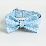petduro dog collar and bow tie set