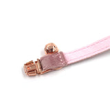 Personalized Cat Collar Set Engraved Rose Gold Buckle Champagne Pink Velvet