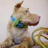 Custom Dog Collar Set with Name Engraved Metal Buckle Ethnic Yellow