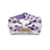 Personalized Dog Collar Set Engraved Gold Metal Buckle Purple Spot Print