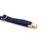 Personalized Cat Collar Set Engraved Gold Buckle Dark Blue Velvet