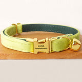 Personalized Cat Collar Engraved Bright Gold Buckle Olive Thick Velvet