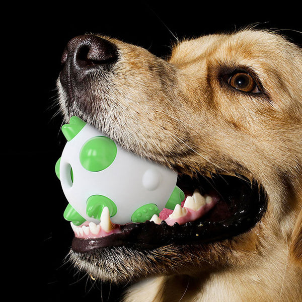 https://www.petduro.com/cdn/shop/products/PETDURO-Dog-Chew-Toys-Dental-Teething-Ball-for-Aggressive-Chewers-Small-Medium-Large-Breed_6_grande.jpg?v=1596102536