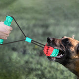 PETDURO Dog Chew Toy Indestructible Toothbrush Stick Tough Teething Treat Toys Bundle