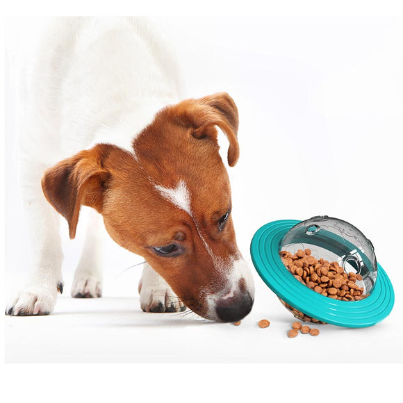 https://www.petduro.com/cdn/shop/products/PETDURO-Interactive-Dog-Toys-Puzzle-Treat-Food-Dispenser-Ball-Slow-Feeder-Bowl_1_580x.jpg?v=1596602551
