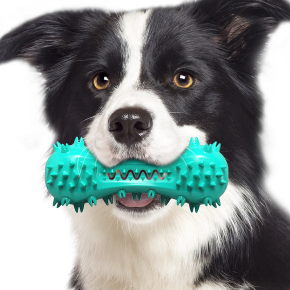 PETDURO Dog Toy Toothbrush Chew Stick Indestructible Teeth Cleaning Squeaker