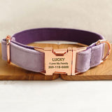 Personalized Dog Collar Set Engraved Rose Gold Buckle Light  Purple Velvet