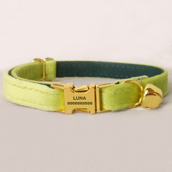 Personalized Cat Collar Engraved Bright Gold Buckle Olive Thick Velvet