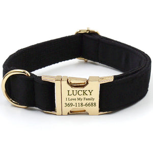Personalized Dog Collar Set Engraved Gold Buckle Black Velvet