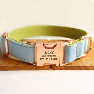 Personalized Dog Collar Engraved Rose Gold Buckle Sky Blue Velvet Green Cotton