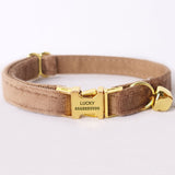 Personalized Cat Collar Custom Engraved Bright Gold Buckle Camel Thick Velvet
