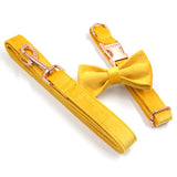 Personalized Dog Collar Set Engraved Rose Gold Metal Buckle Ginger Velvet
