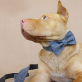 Custom Dog Collar Set with Name Engraved Metal Buckle Grey Plaid