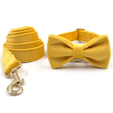 Personalized Dog Collar Set Engraved Gold Buckle Ginger Velvet