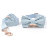 Custom Dog Collar Engraved Quick Release Rose Gold Buckle Cute Light Blue Velvet