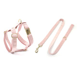Personalized Dog Harness Engraved Gold Buckle Pink Velvet with Matching Parts