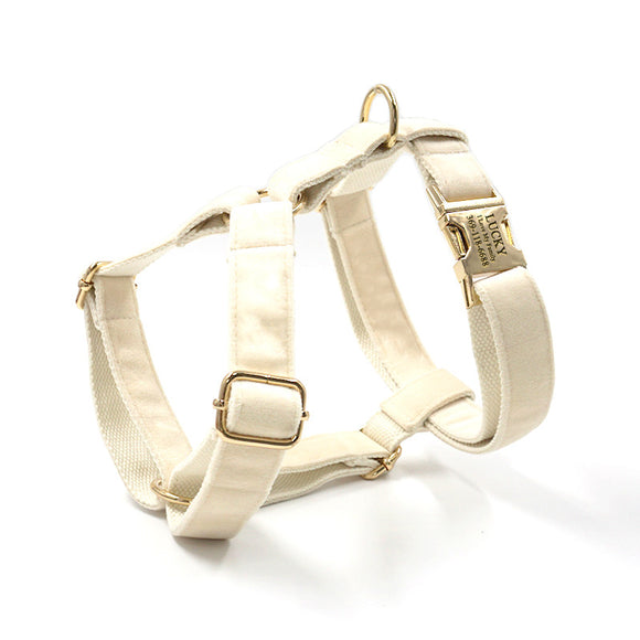 Personalized Dog Harness Engraved Gold Buckle Cream Velvet with Matching Parts