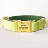 Personalized Dog Collar Engraved Bright Gold Metal Buckle Mint Green Velvet