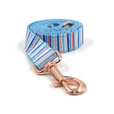 Personalized Dog Collar Engraved with Leash Bow Tie Rose Gold Buckle Blue Stripe