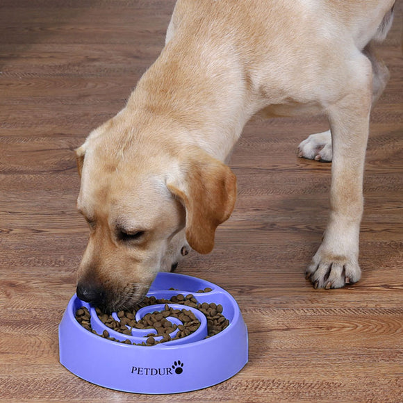 PETDURO Slow Feeder Dog Bowls Maze Puzzle Food Bowl for Fast Eaters of All Sizes