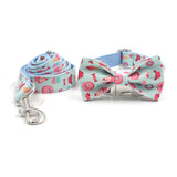 Custom Dog Collar Engraved Metal Buckle with Leash Bow Tie Available Ice Cream