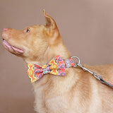 Custom Dog Collar Set with Name Engraved Metal Buckle Grey Bohemian