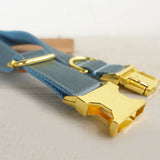 Personalized Dog Collar Set Engraved Bright Gold Buckle Blue Sating