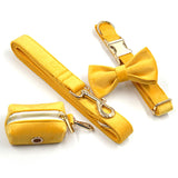 Personalized Dog Collar Set Engraved Gold Buckle Ginger Velvet