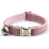 Personalized Cat Collar Set Engraved Silver Buckle Champagne Pink Velvet